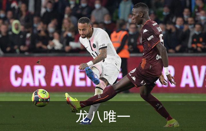 龙八唯一介绍